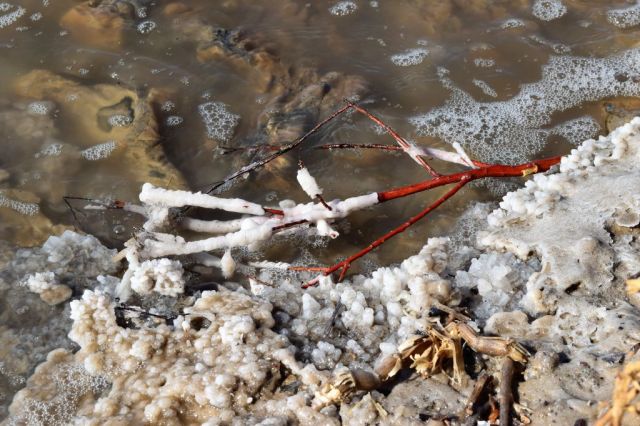 2Dead Sea Spa Hotel 152