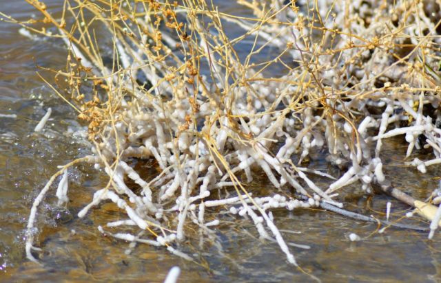 2Dead Sea Spa Hotel 161