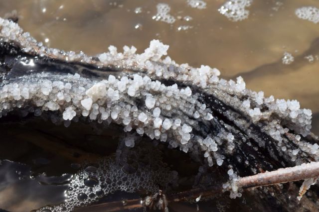 2Dead Sea Spa Hotel 176