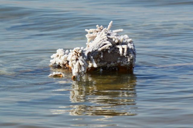 2Dead Sea Spa Hotel 195