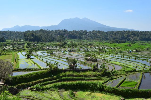 1Resa Amed - Sanur 1