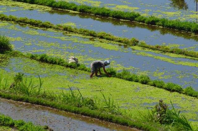 1Resa Amed - Sanur 9