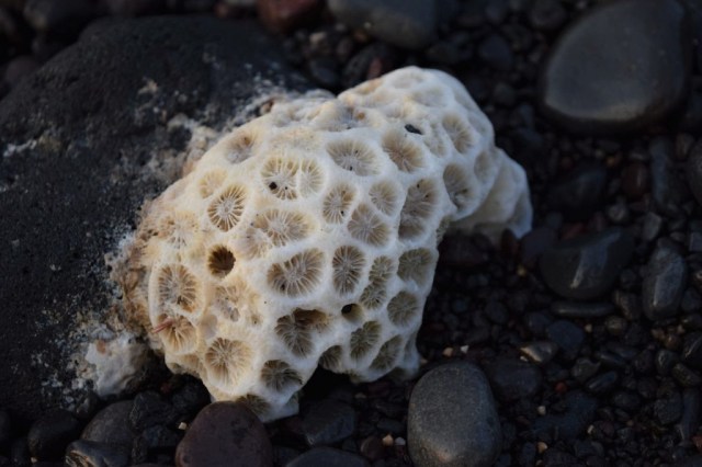 2Soluppgång, Amed 61