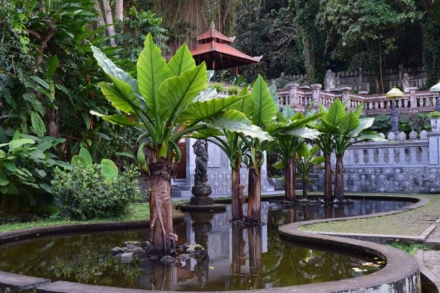 2Tirta Ganga Water Palace 37