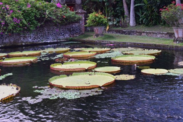 2Tirta Ganga Water Palace 63