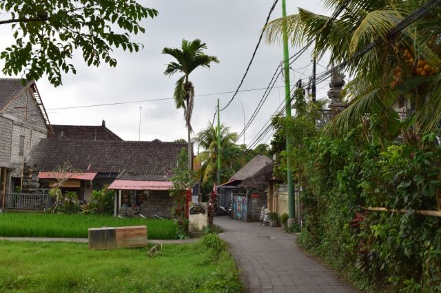 3Risfälten, Ubud 12