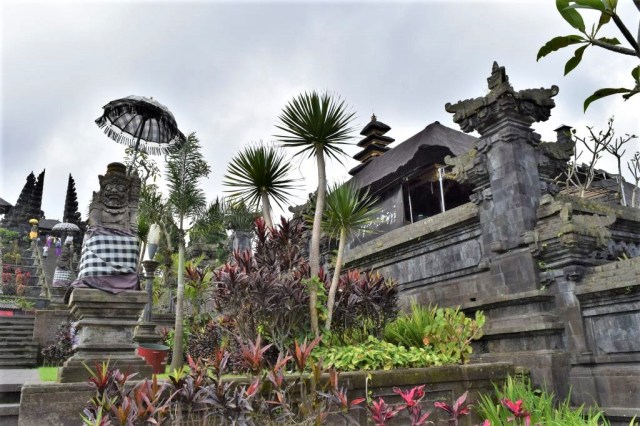 DSC_0594 - kopia - kopia