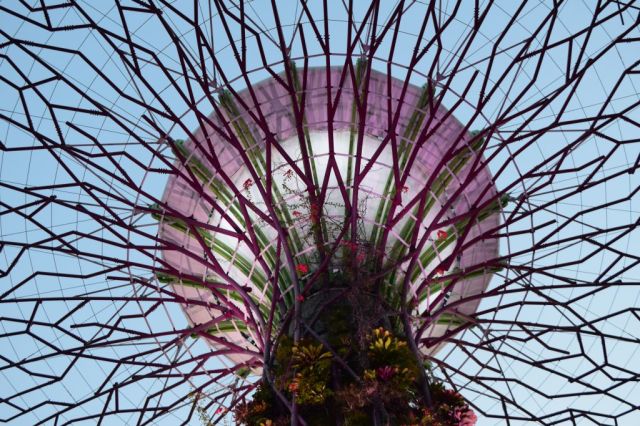 Gardens by the Bay 122