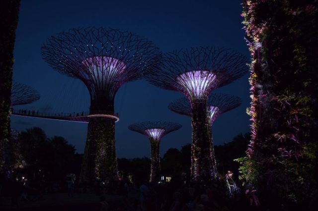 Gardens by the Bay 138