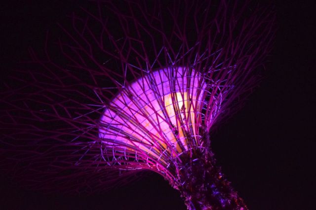 Gardens by the Bay 164