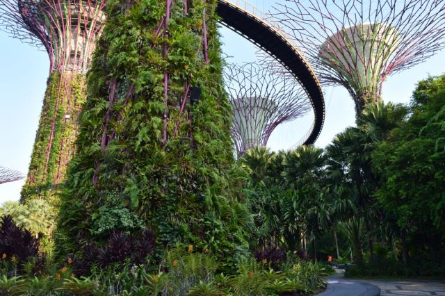 Gardens by the Bay 17