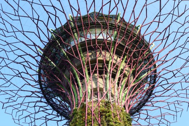 Gardens by the Bay 20