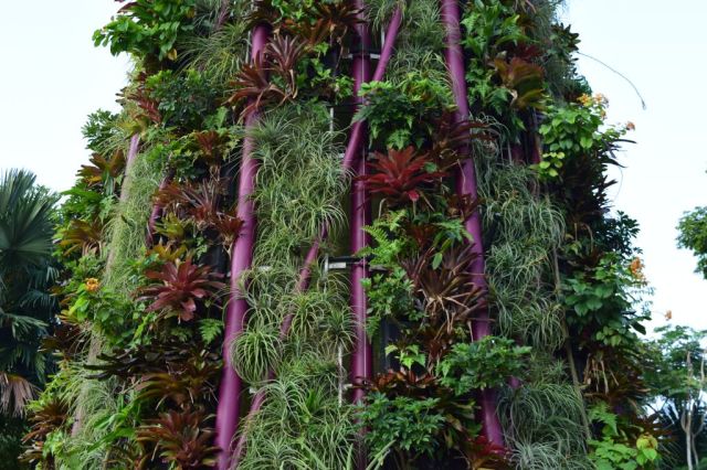 Gardens by the Bay 29