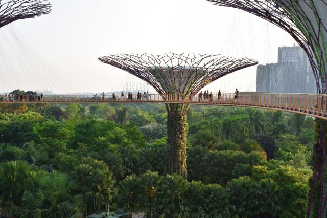 Gardens by the Bay 54