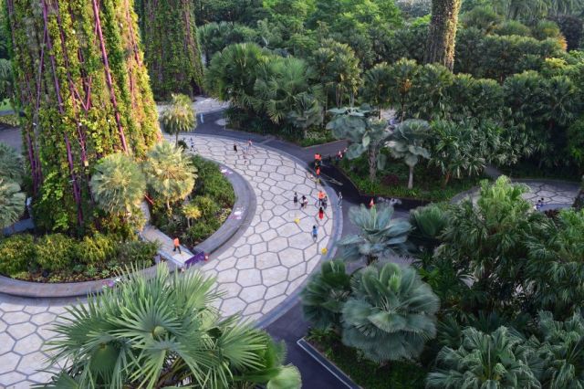 Gardens by the Bay 55