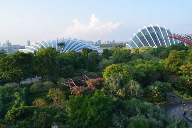 Gardens by the Bay 57