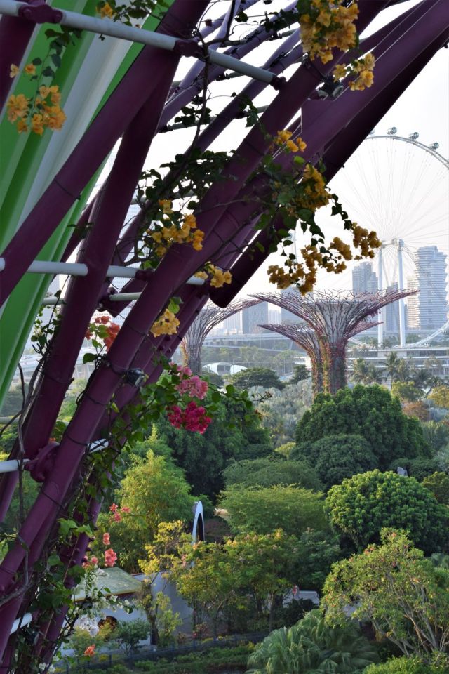 Gardens by the Bay 71