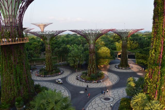 Gardens by the Bay 83