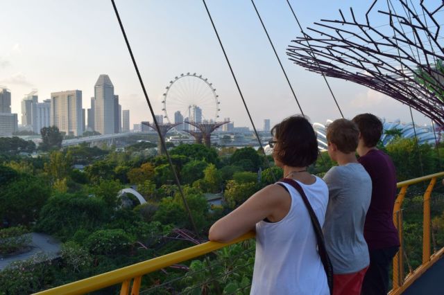 Gardens by the Bay 85