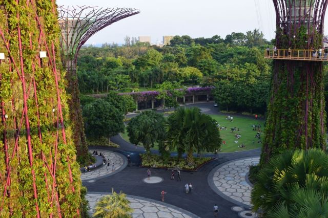 Gardens by the Bay 88