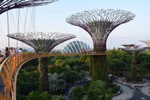 Gardens by the Bay 95
