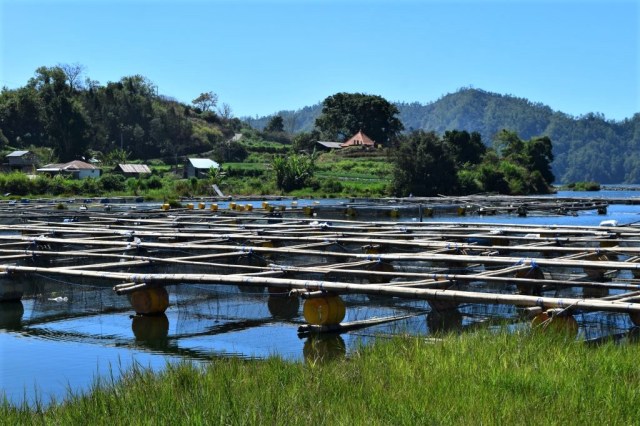 Lakeside Cottages, Kintamani 59