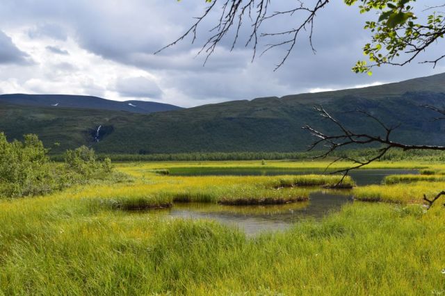 1Vandring Nikkaloukta - Kebnekaise Fjällstation 101