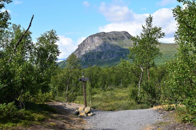 1Vandring Nikkaloukta - Kebnekaise Fjällstation 26