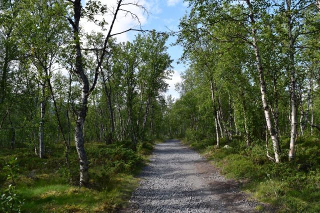 1Vandring Nikkaloukta - Kebnekaise Fjällstation 28