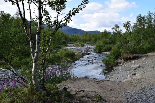 1Vandring Nikkaloukta - Kebnekaise Fjällstation 31