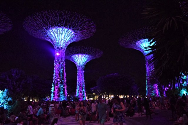 Gardens by the Bay 171