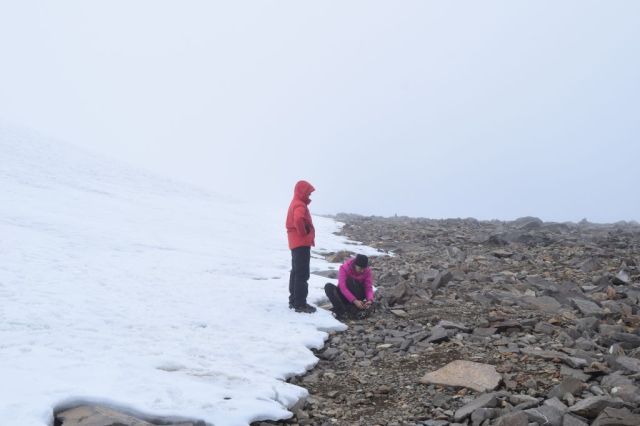 Topptur Kebnekaise 94