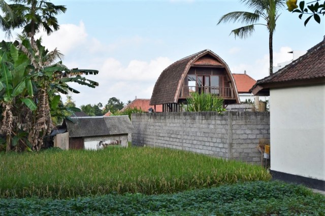 3Risfälten, Ubud 43