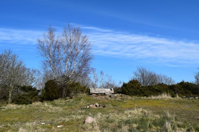 DSC_0080