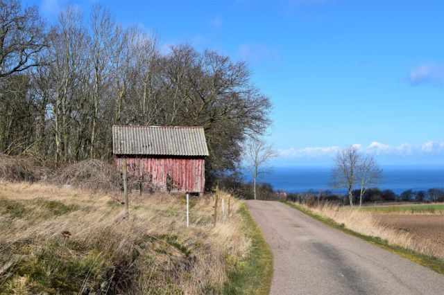 DSC_0133