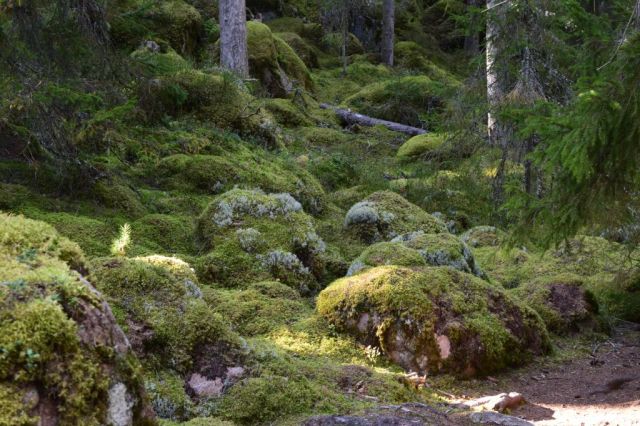 2Norra Kvills Nationalpark 104