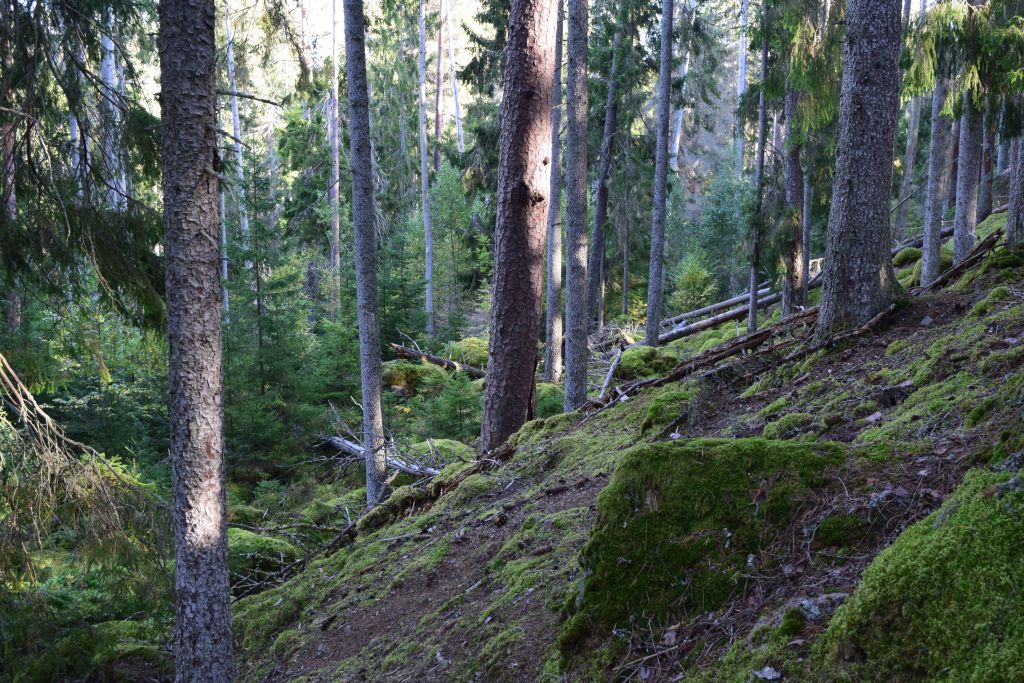 2Norra Kvills Nationalpark 108