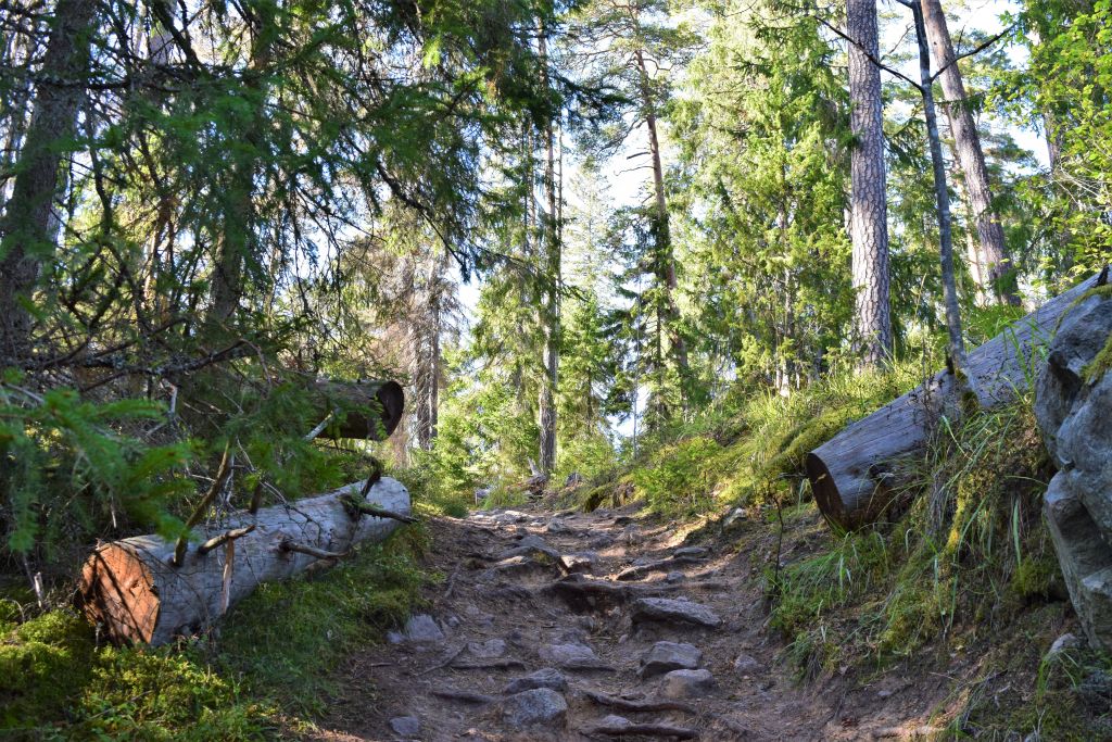 2Norra Kvills Nationalpark 21