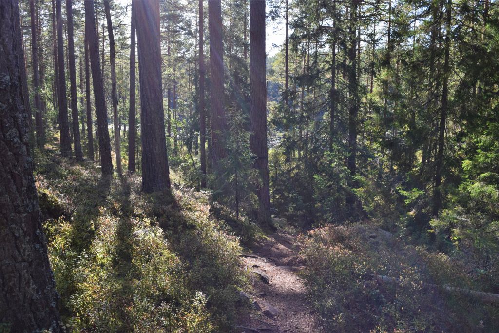 2Norra Kvills Nationalpark 35