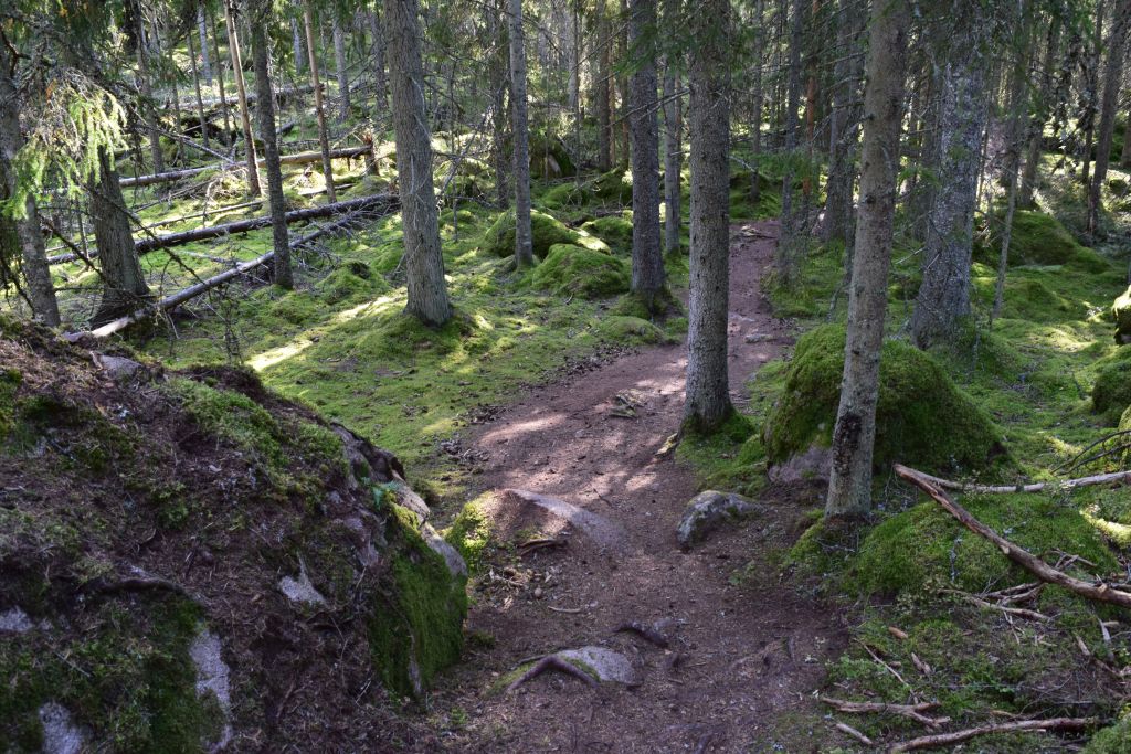 2Norra Kvills Nationalpark 85