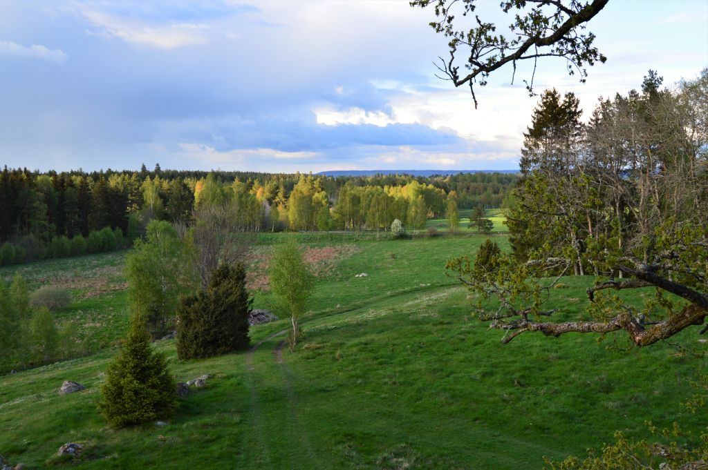 Islanna trädhotell 134