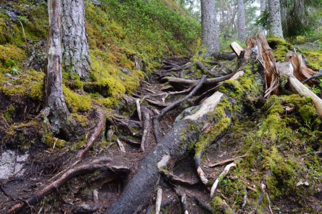 Tivedens Nationalpark 13