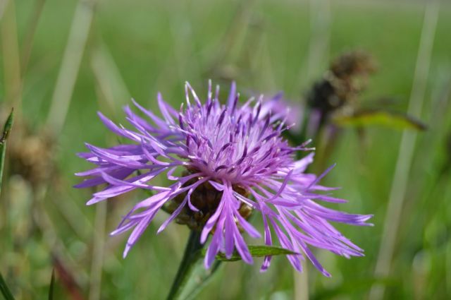 SL5 etapp 10 - dag 2 113