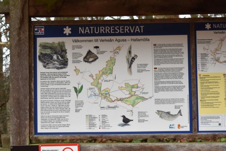 Verkeån Agusa Hallamölla