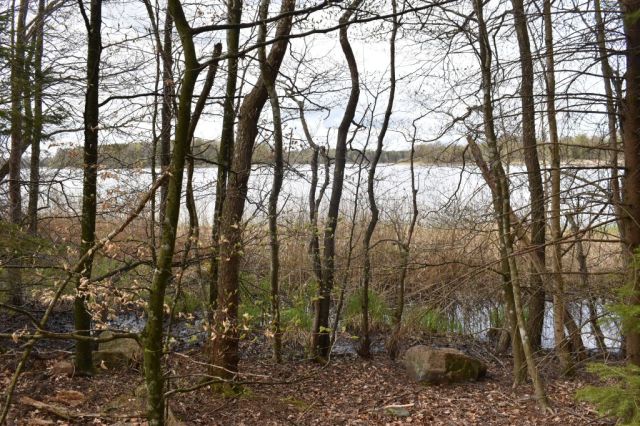 1Stora Bjälkarp naturreservat 23