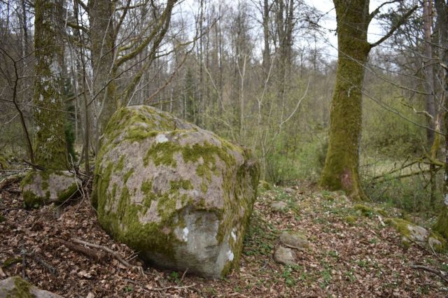 6Nedraryd naturreservat 18