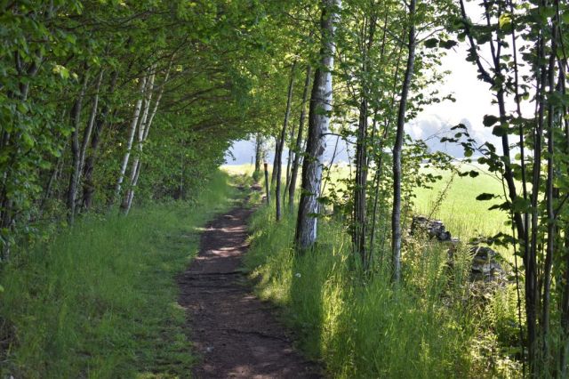 Kinnekulleleden, Blomberg - Hällekis 25