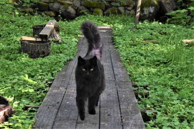 Kinnekulleleden, Blomberg - Hällekis 67