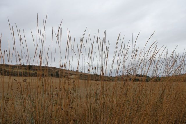 Dag 15 Tardajos - Hontanas 75