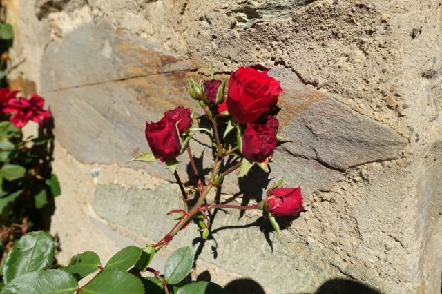 Dag 24 Oncina de la Valdoncina 118